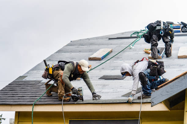 Professional Gutter Installation technician working in Webster City, IA